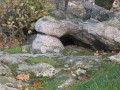 Szentbékkálla és az Ingó-kő - a mandula illatú völgy   - 