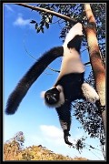 Madagaszkr, a lemurok fldje - 