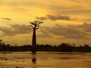 Madagaszkr, a lemurok fldje