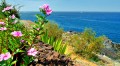 Tenerife, az rk tavasz szigete - 
